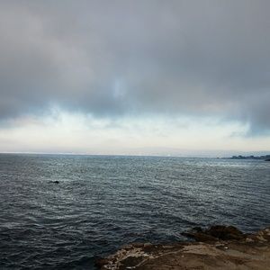 Meet your Posher, Kat